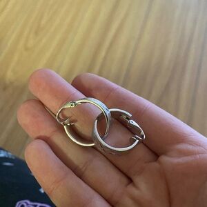 Silver Snake Hoop Earrings